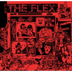 The FLEX "Chewing Gum For The Ears" LP