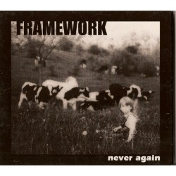 FRAMEWORK "Never Again" CD