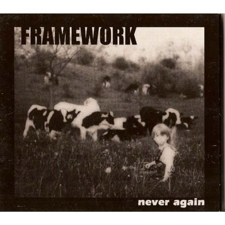 FRAMEWORK "Never Again" CD