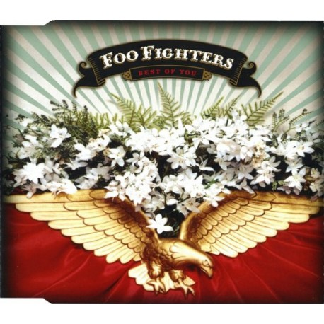 FOO FIGHTERS "Best Of You" CD