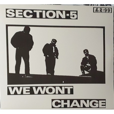 SECTION 5 "We Wont Change" LP