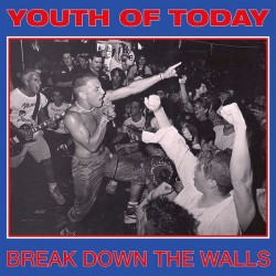 YOUTH OF TODAY "Break Down The Walls" LP