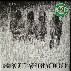 DYS "Brotherhood" LP