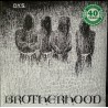 DYS "Brotherhood" LP