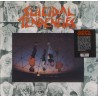 SUICIDAL TENDENCIES S/T LP