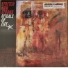 STRETCH ARM STRONG "Rituals Of Life" LP